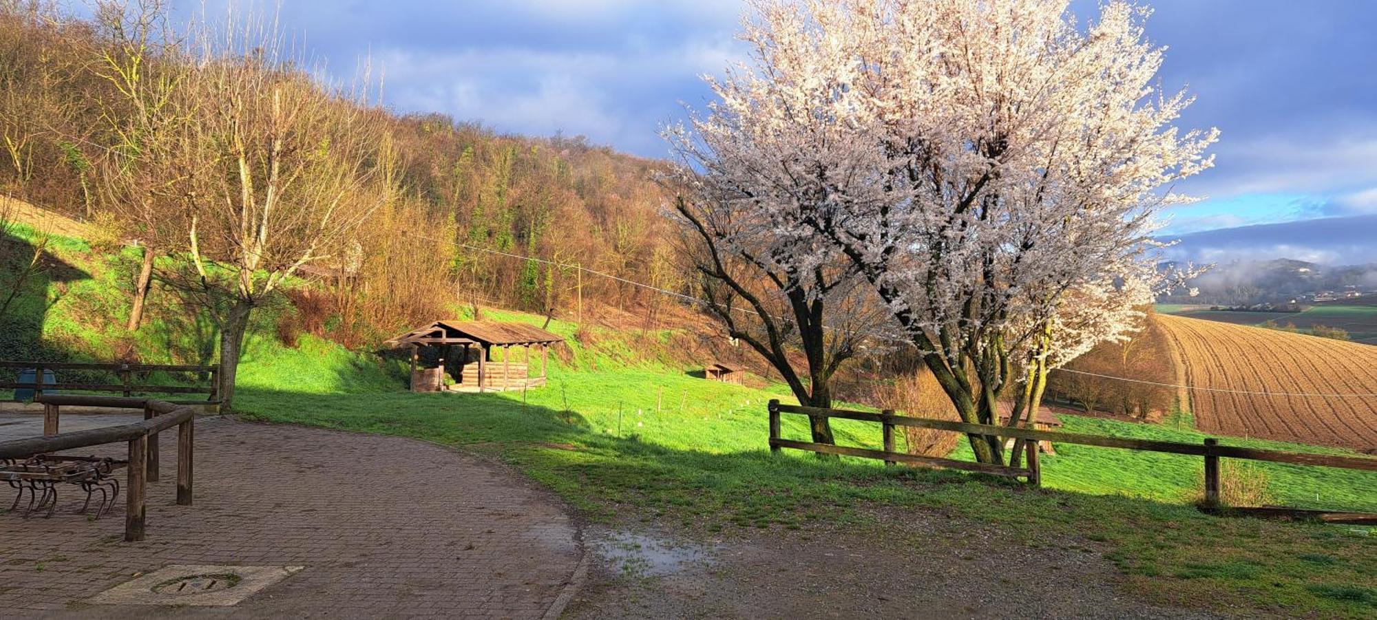 알피아노나타 Cascina Fazioli 빌라 외부 사진